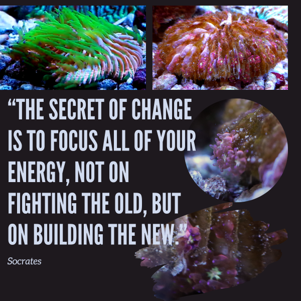 secret of change